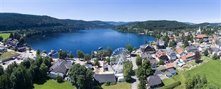 Beautiful Black Forest-Value Holiday GOLD